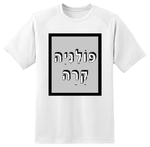 חולצה בעיצוב משפטים - פּוֹלָנִיָה קָרָה